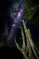 Astro Nightscapes
